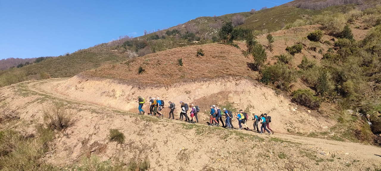 WhatsApp Image 2026-03-23 at 08.13.58 (1)